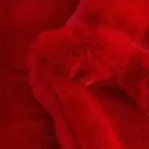 Dessus de lit matelassé Rouge-Atelier Matelassé